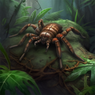 The Spider安装器