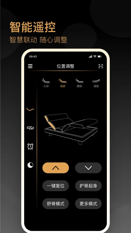 金可儿ibed
