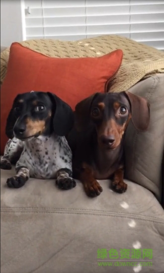 短视频美拍秀 短视频美拍秀