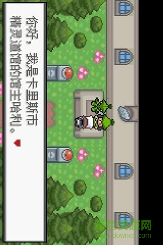 口袋妖怪绿叶