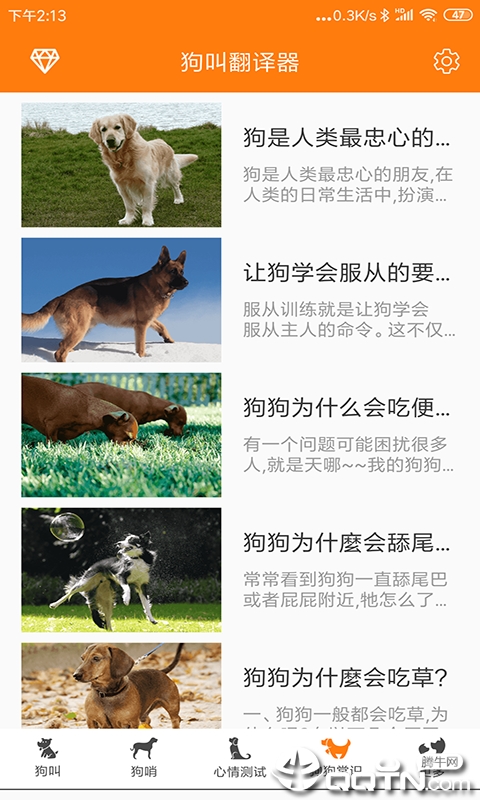 猫叫狗叫翻译器