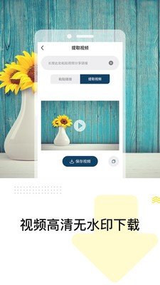 万能视频去水印精灵