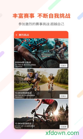 郁金香运动 郁金香运动