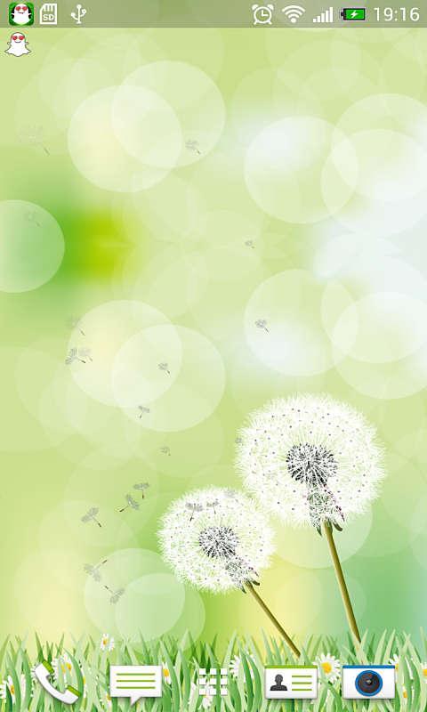 蒲公英动态壁纸 蒲公英动态壁纸