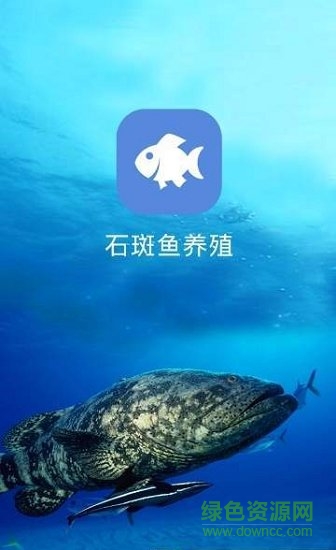 石斑鱼养殖 石斑鱼养殖