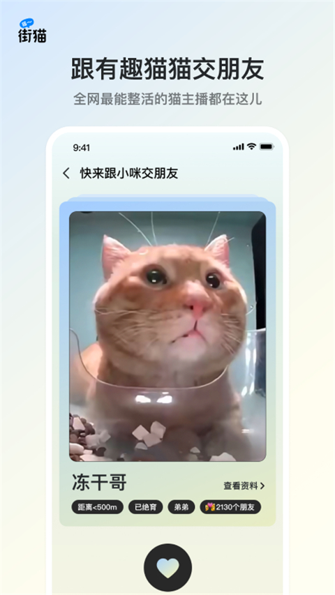 街猫(流浪猫领养软件) v3.2.6 安卓版