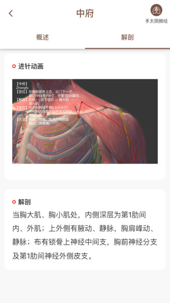 中济经络穴位ios版
