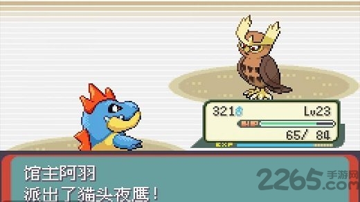 口袋妖怪金心银魂