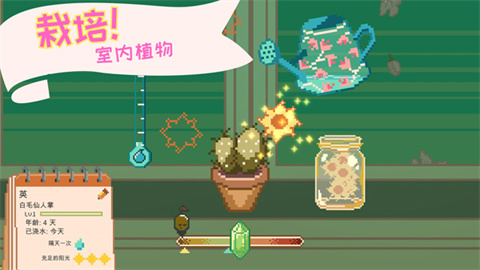 窗口