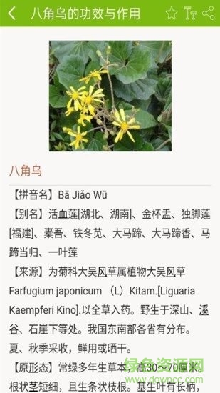 中医药宝典 中医药宝典