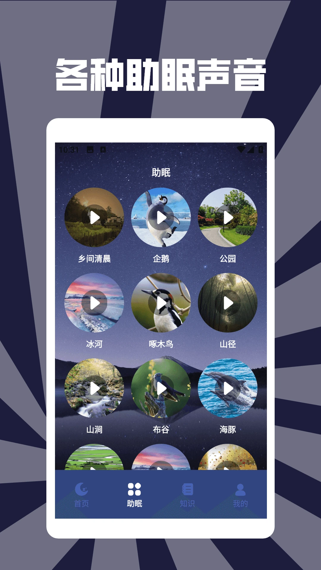 筑梦事务所助手