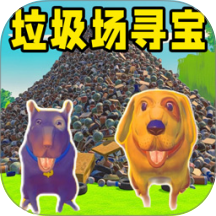 垃圾场寻宝挑战