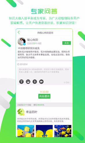 雅恏