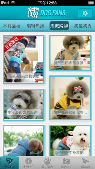 宠物世界 宠物世界