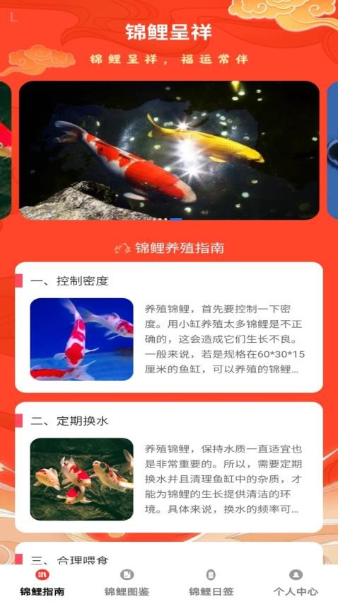 锦鲤呈祥 锦鲤呈祥