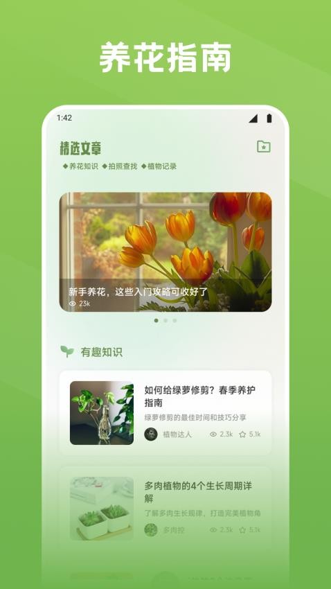 秀花 秀花