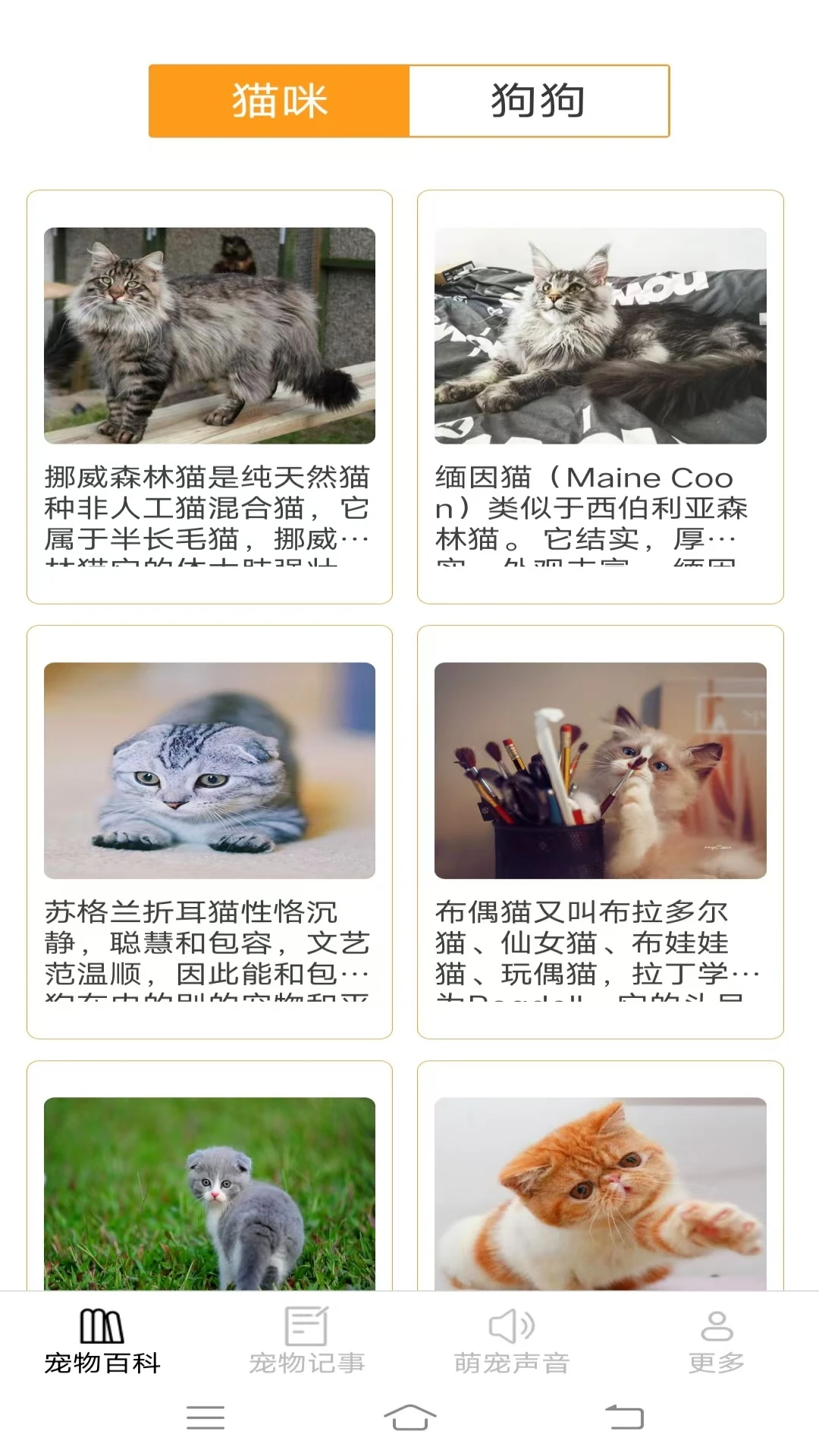 宠趣点点 宠趣点点