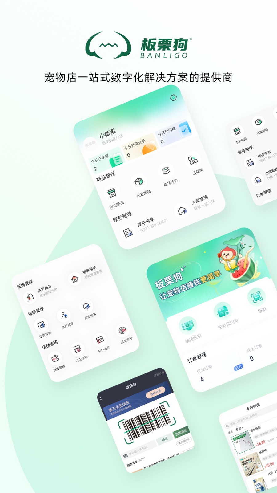 板栗狗