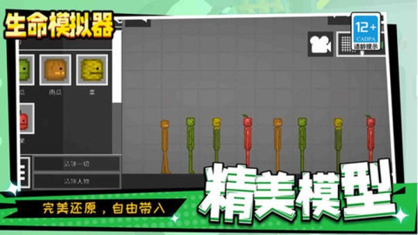 生命模拟器 生命模拟器