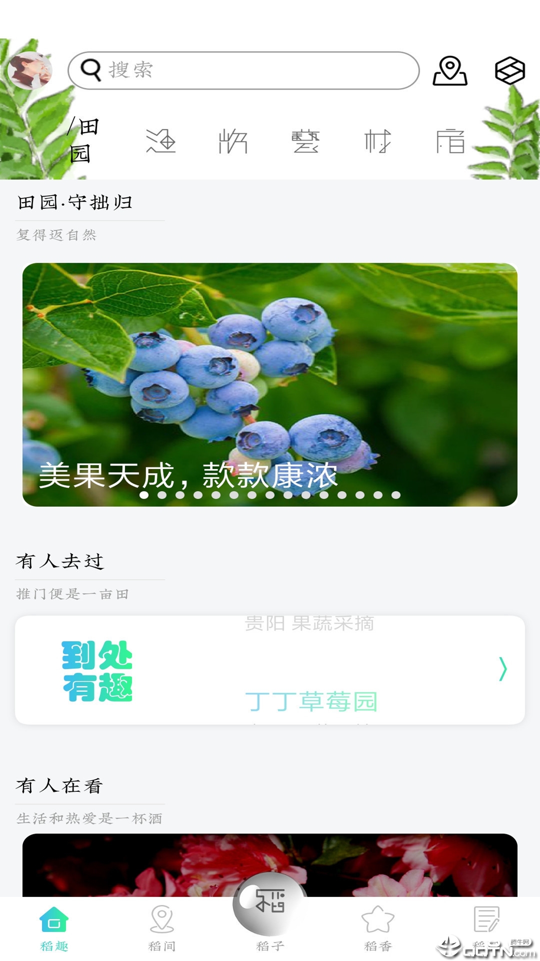 稻趣
