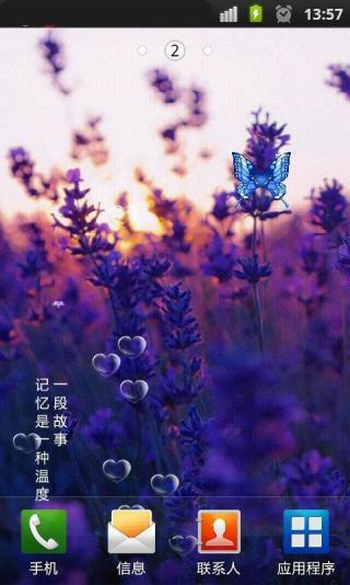 薰衣草等待爱情动态壁纸锁屏