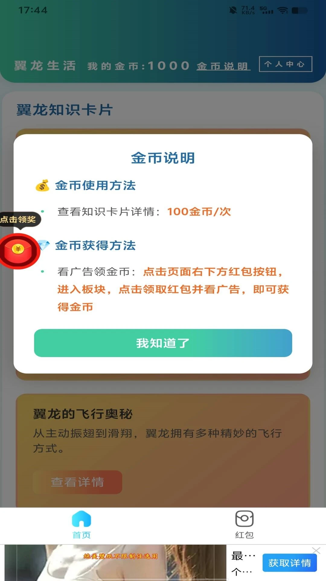 翼龙生活