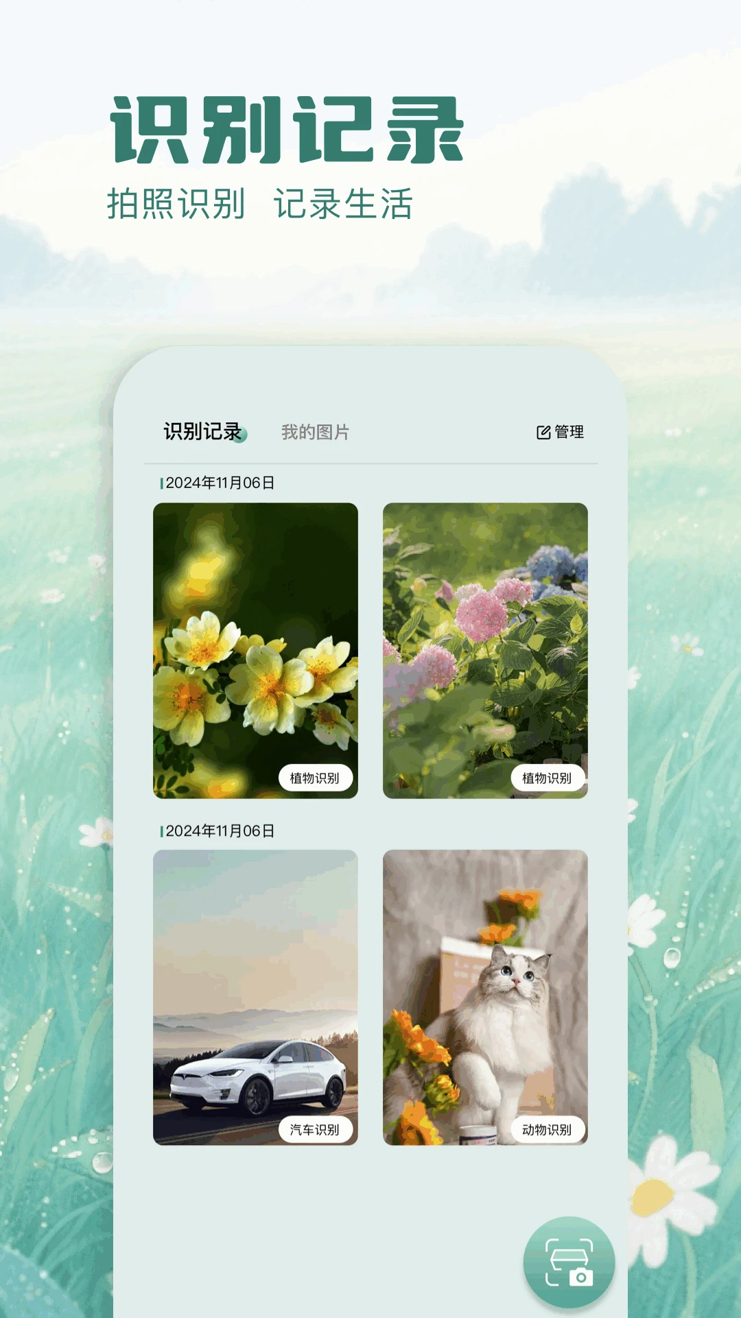 识别花
