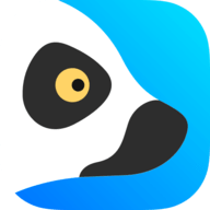 狐猴浏览器插件app