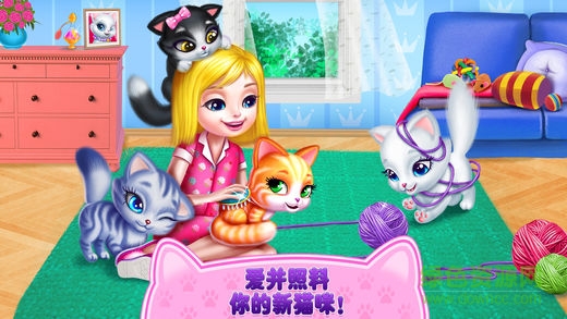 猫咪之恋(可可小猫)