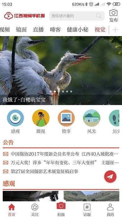 江西视频手机报 江西视频手机报