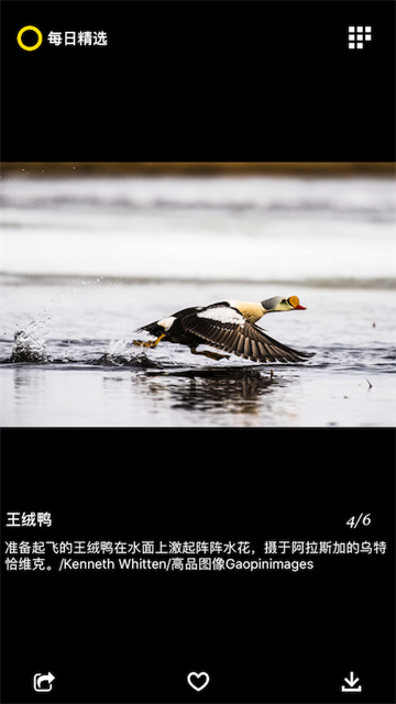 每日精选官方版 每日精选官方版