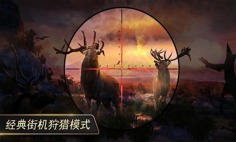 狙击小动物 狙击小动物