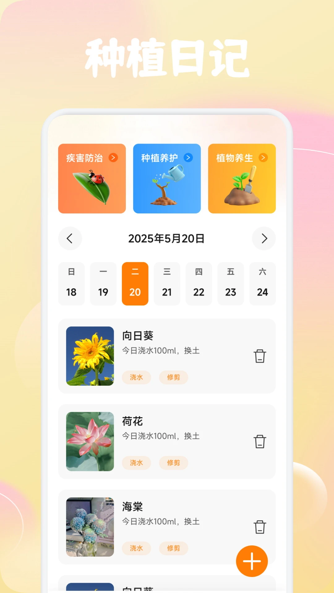 橘小花
