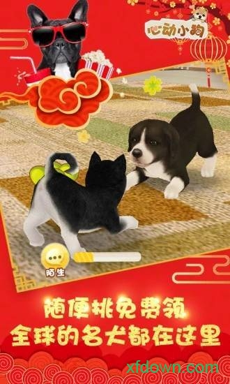 心动小狗 心动小狗