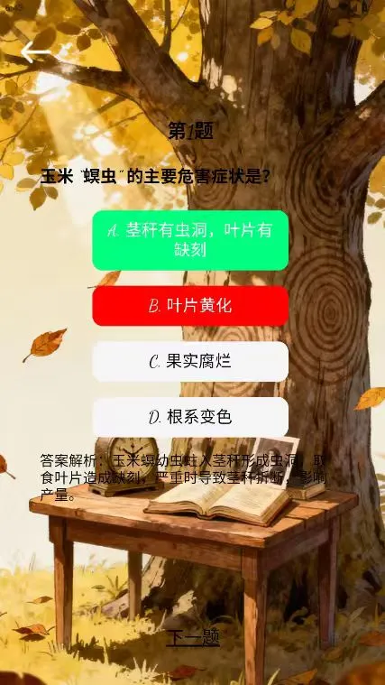 多多时光 多多时光