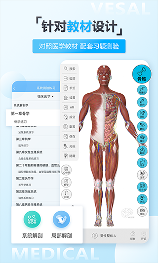 维萨里3D解剖