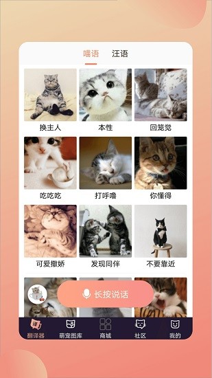 人猫交流翻译器