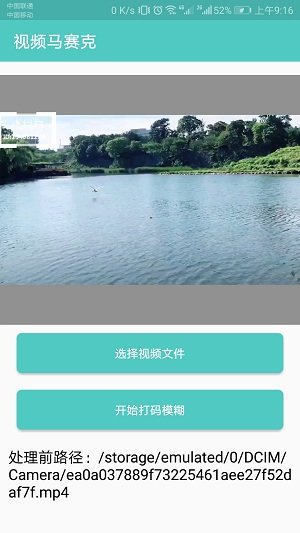 视频马赛克 视频马赛克