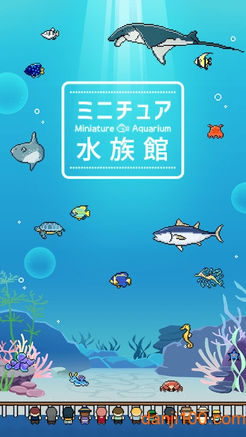 迷你水族馆