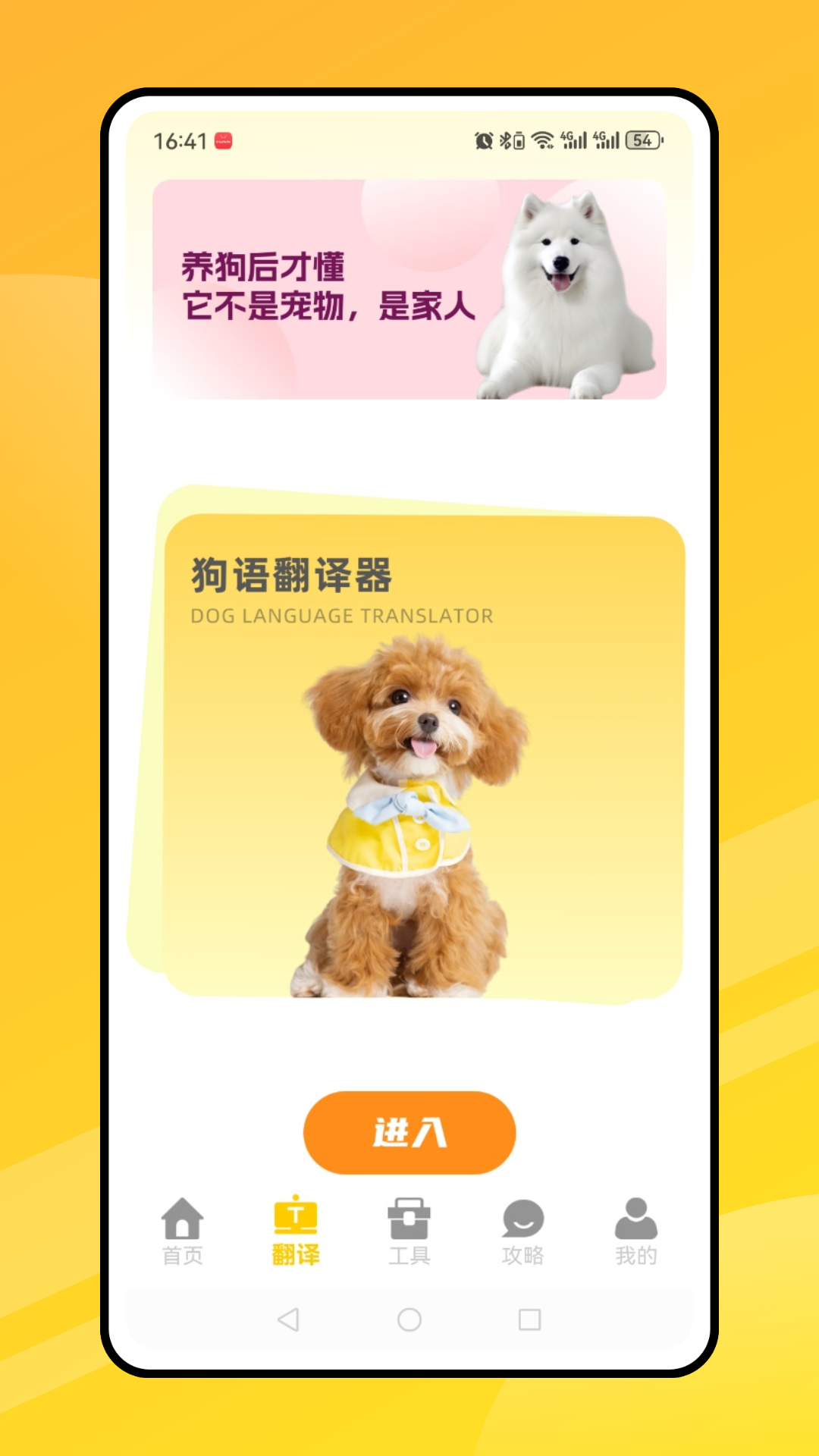 会说话的猫猫