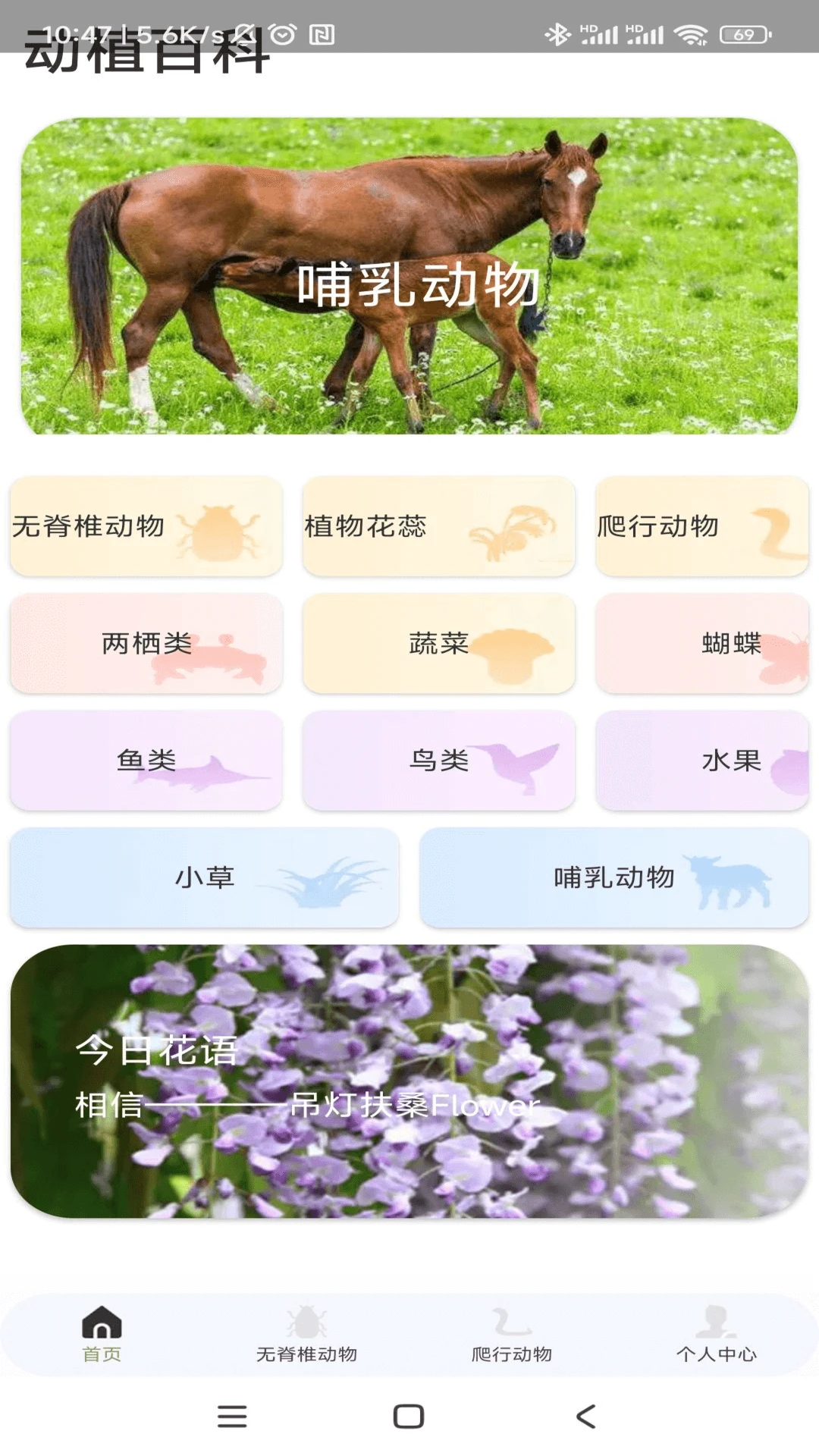 动物趣览 动物趣览