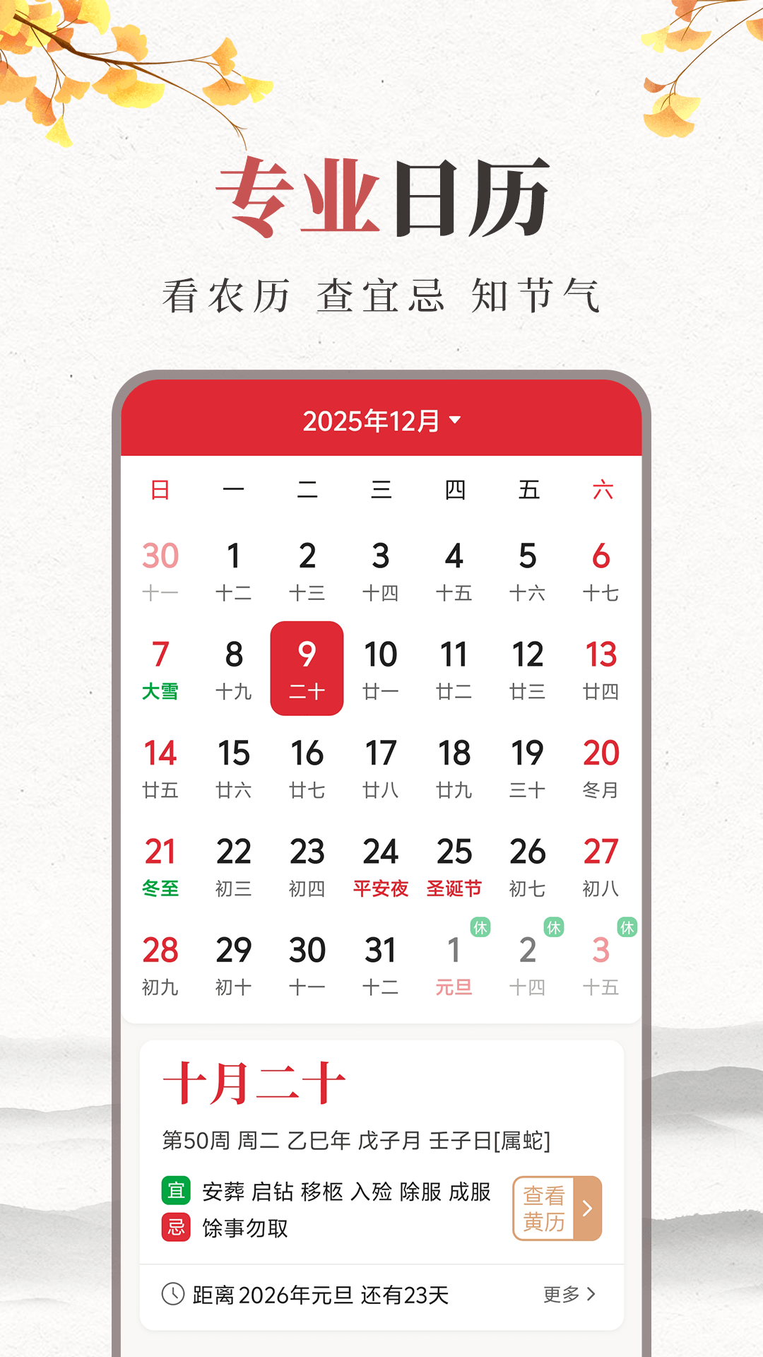 天气预报30天