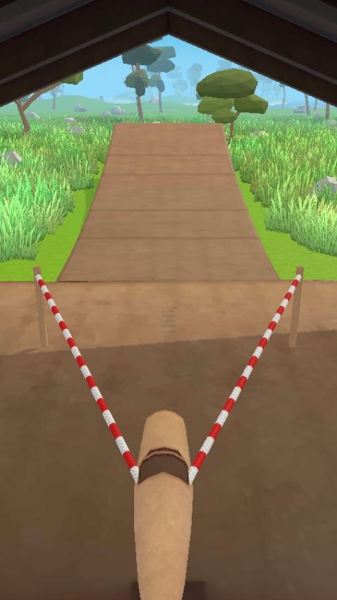 飞机自由驾驶
