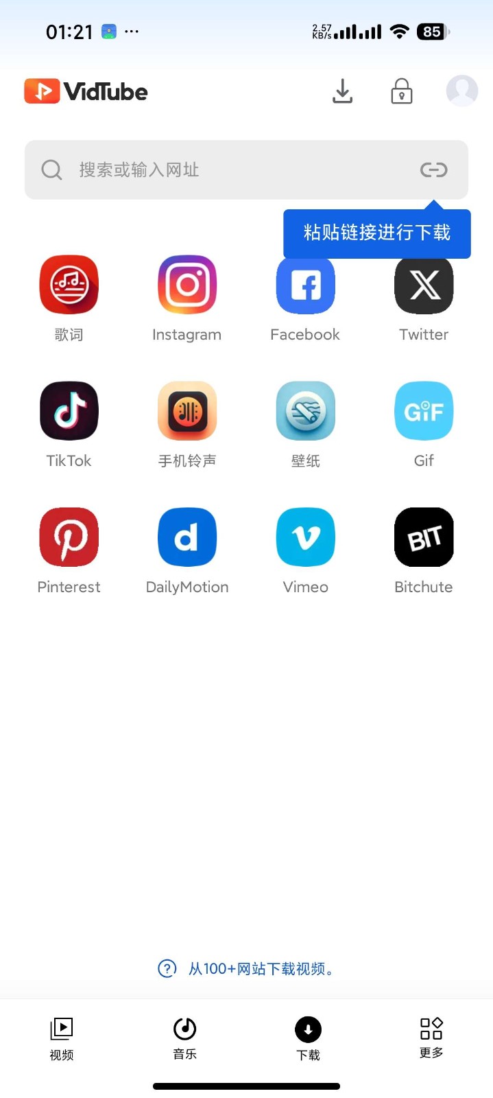 视频下载器专业版