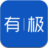 有极