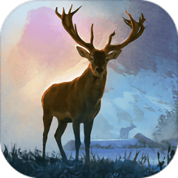 Animals Hunting