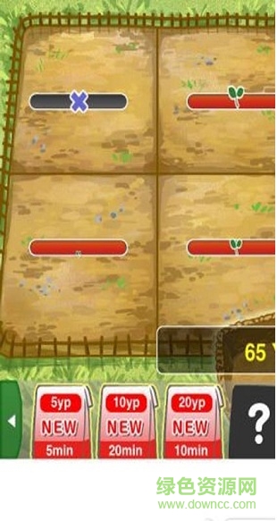 蔬菜农园 蔬菜农园