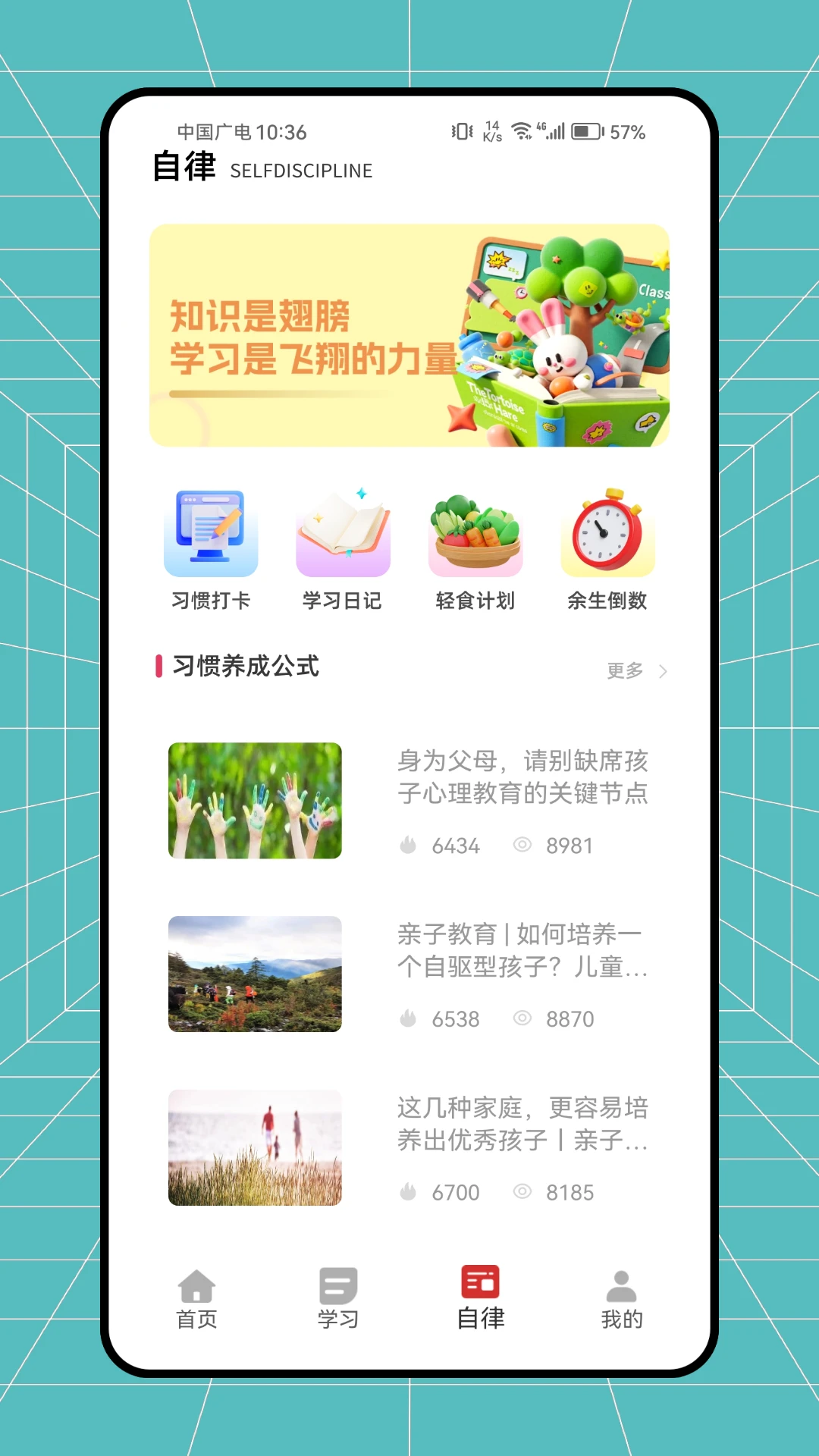小鸡自律