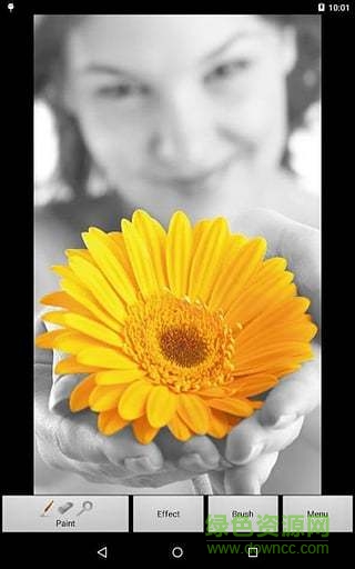 photo art照片艺术