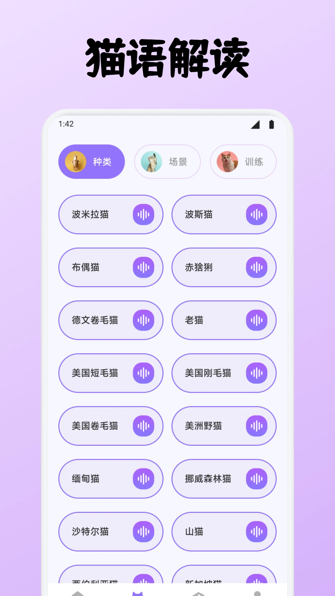 小猫玩具
